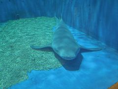 -华夏文旅西安度假区