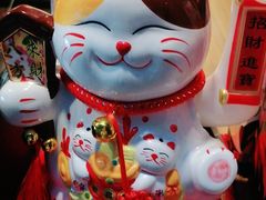 -梵猫·新养生(湛江鼎盛店)