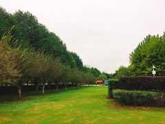 -楚望台遗址公园