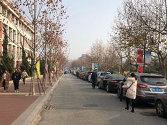 -山东外贸职业学院