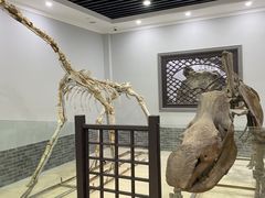 -游龙石文化科普馆