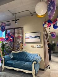 -東方名剪·ETSTYLE