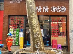 -阳阳老火锅(小南门店)