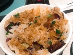-百年果林椰子鸡(益田假日里店)