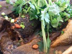 双飞鱼煲-创味·民间海南菜·非遗藤桥排骨(藤桥·免税城店)