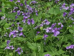 -苏州河梦清园环保主题公园