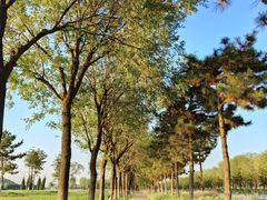 -汉长安城未央宫国家考古遗址公园