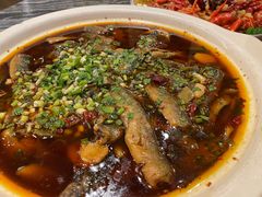 -情妹耙泥鳅·江湖川菜(科华店)