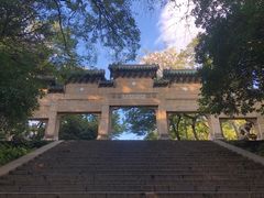 -灵谷景区