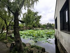 -常熟方塔园