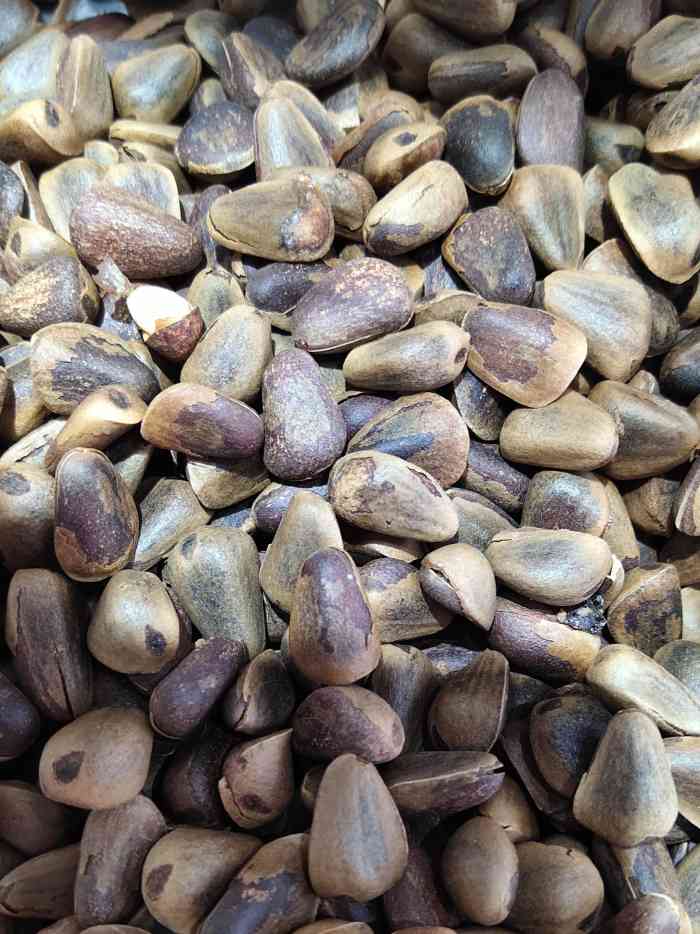 东旺干果-"整体东西挺全的,价格也不贵,买好几次了,."-大众点评移动版