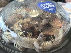 -大锅强·蒸海鲜青岛菜(金沙滩店)