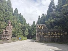 -武陵山森林公园