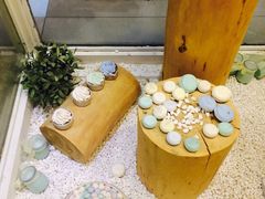 -云朵上的鱼(莘庄店)