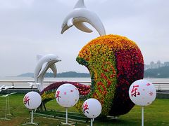 -野狸岛