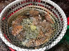 -南蚝小贝海鲜特色餐厅(南澳岛店)