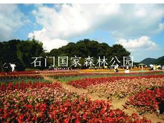 -广州市石门国家森林公园