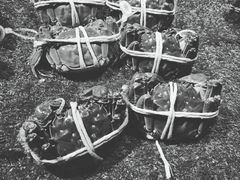 -盒马鲜生(馥邦国际店)