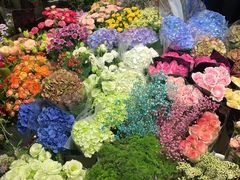 -双季花艺园艺市场(浦东店)