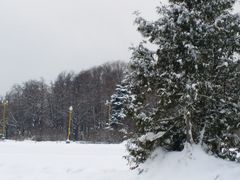 -莫斯科大学