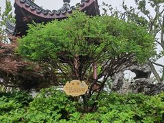 -上海滨江森林公园