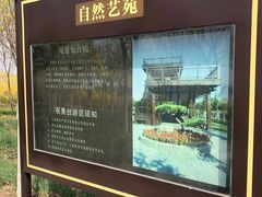 -天津东丽湖风景区