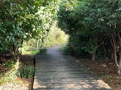 -八大山人梅湖景区