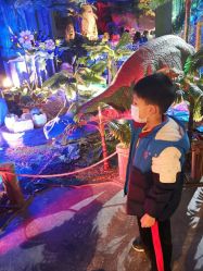 -恐龙探索乐园(磁器口店)