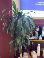 -南京医科大学友谊整形外科医院