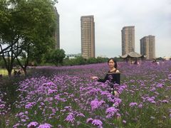 -杭州城北体育公园