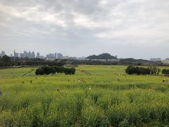 -光明小镇欢乐田园