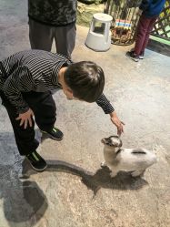 -酷嗒动物文化乐园(cutezoo西溪乐天城店)