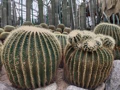-南山植物园