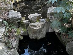 -镇江市南山风景名胜区竹林景区