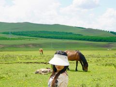 -塞罕坝国家级自然保护区