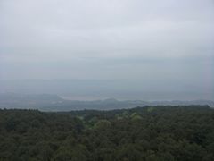 -铁山坪森林公园