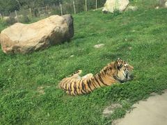 -西安秦岭野生动物园