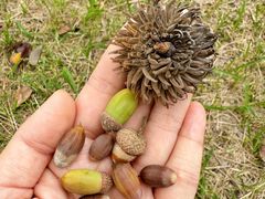 -白塘生态植物园