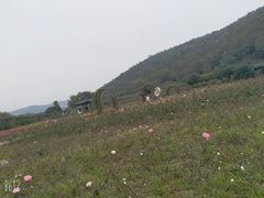 -龙寺生态园