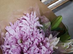 -鹿岛会员店 (龙湖三千集天街店)