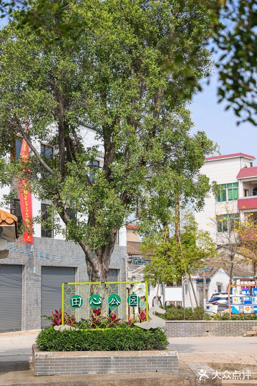 这家顺德早茶，已经连吃三天了😋