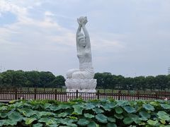 -荷塘月色湿地公园·向阳花洲