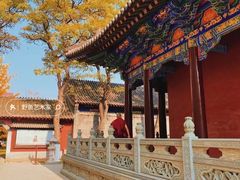 -护国法轮寺