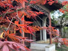 -盘门景区