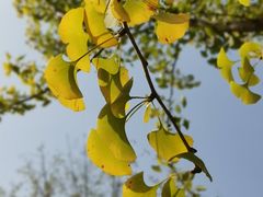 -长沙市青少年宫