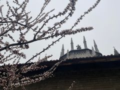 -洪家楼教堂