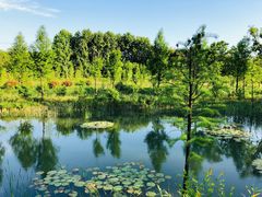 -昆山城市生态森林公园
