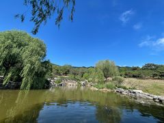 -北京西山国家森林公园