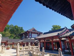 -灵谷景区