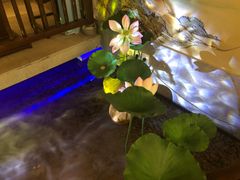 -韵秋荷(宝山龙湖天街店)